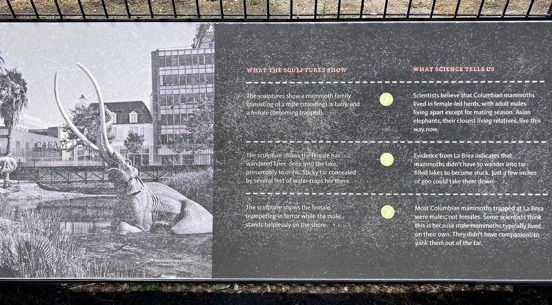 Imagining Ice Age L.A. Marker image. Click for full size.