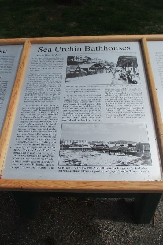 Sea Urchin Bathhouses panel. Click for full size. Sea Urchin Bathhouses panel image. Click for full size.