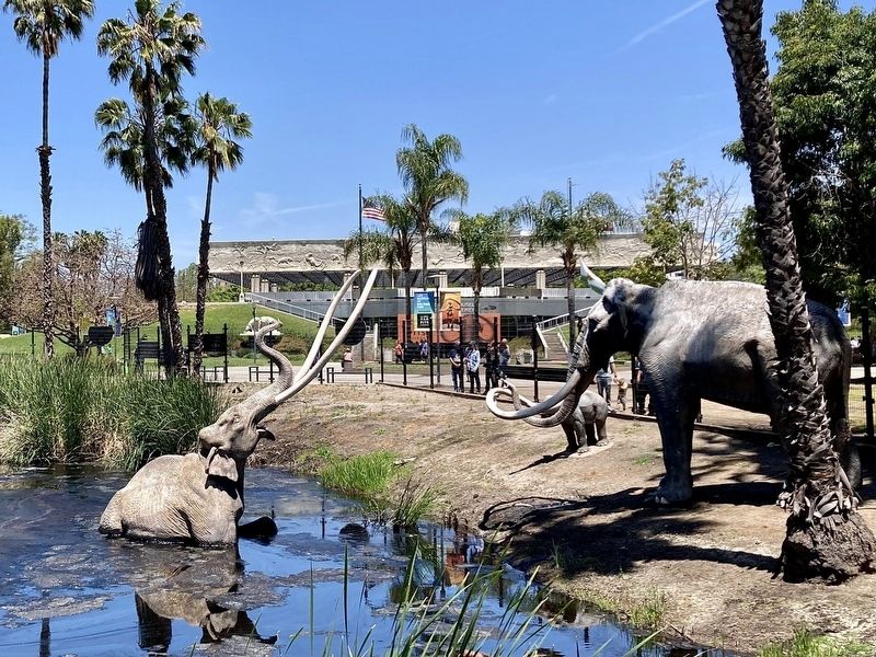 La Brea Tar Pits image. Click for full size.