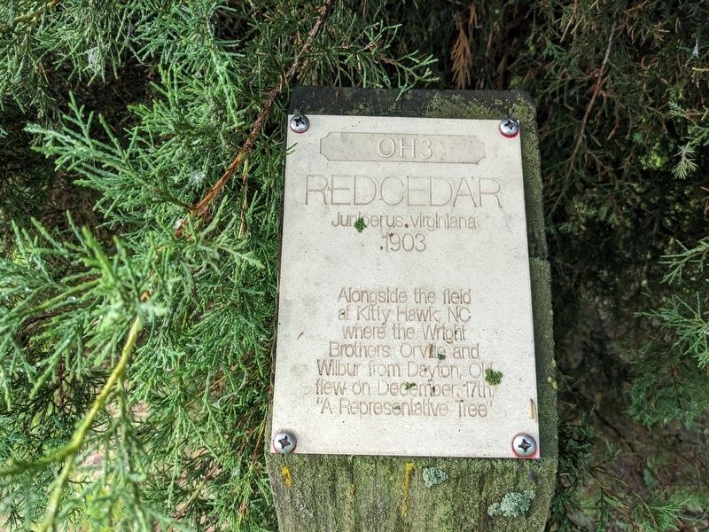 Red Cedar Marker. Click for full size. Red Cedar Marker image. Click for full size.