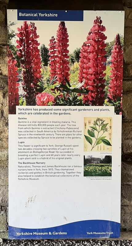 Botanical Yorkshire Marker. Click for full size. Botanical Yorkshire Marker image. Click for full size.