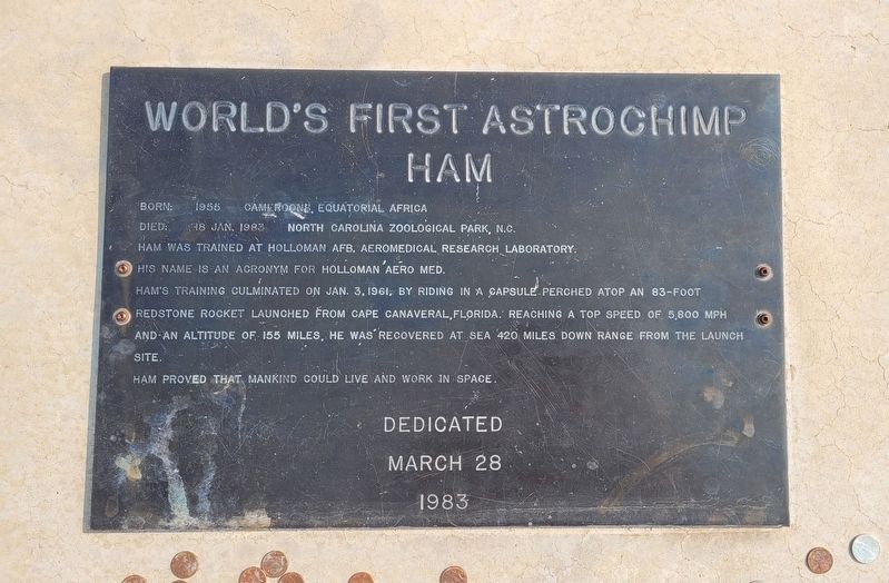 World's First Astrochimp Ham Marker image. Click for full size.
