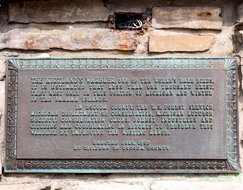 The Kirktland�s Warbler Plaque image. Click for full size.