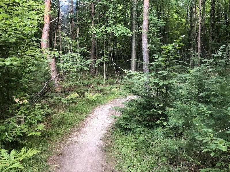Sentinel Trail. Click for full size. Sentinel Trail image. Click for full size.