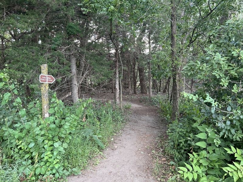 Celia Kelley Pines Trail Loop. Click for full size. Celia Kelley Pines Trail Loop image. Click for full size.