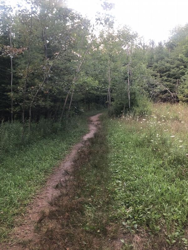 Sentinel Trail image. Click for full size.