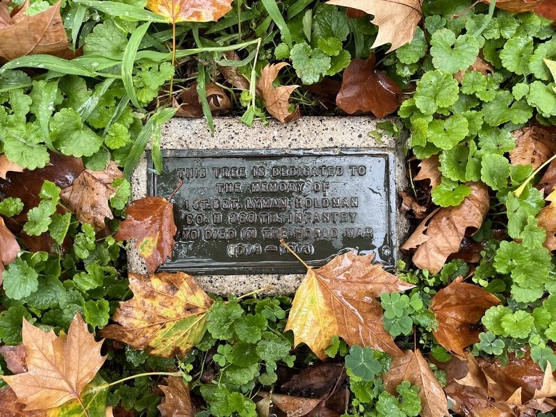 Lyman Holdman plaque image. Click for full size.