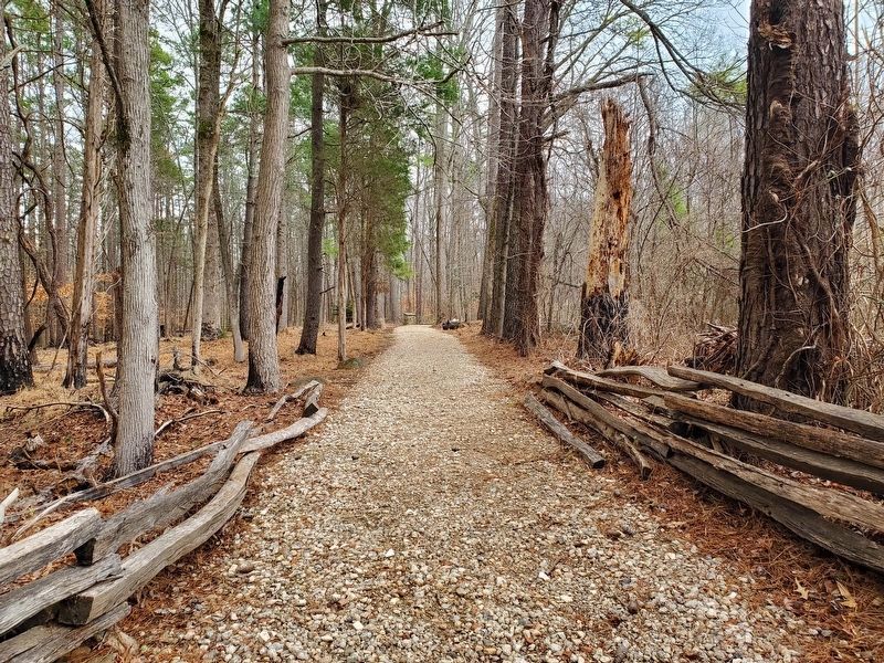 Trail leading from parking area to McCoy Slave Cemetery and Marker image. Click for full size.