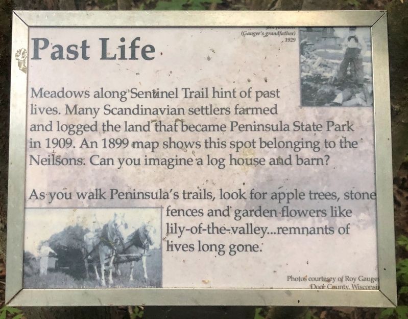 Past Life Marker image. Click for full size.
