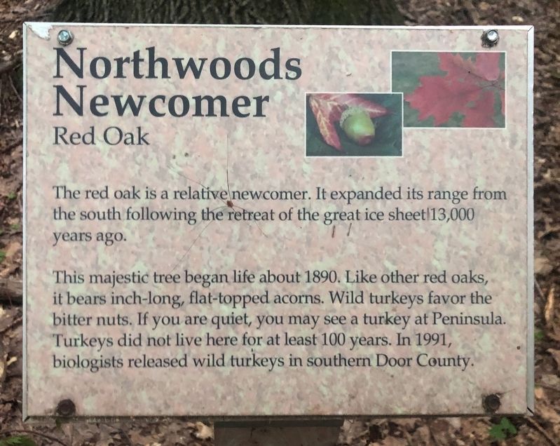 Northwoods Newcomer Marker. Click for full size. Northwoods Newcomer Marker image. Click for full size.