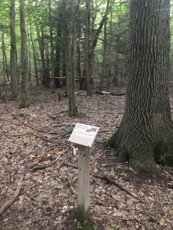 Northwoods Newcomer Marker. Click for full size. Northwoods Newcomer Marker image. Click for full size.