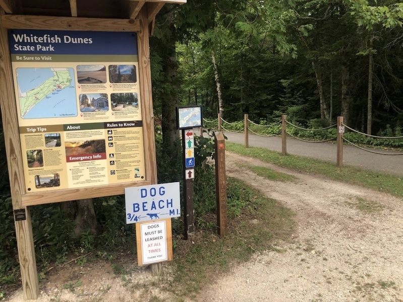 Whitefish Dunes State Park Marker. Click for full size. Whitefish Dunes State Park Marker image. Click for full size.