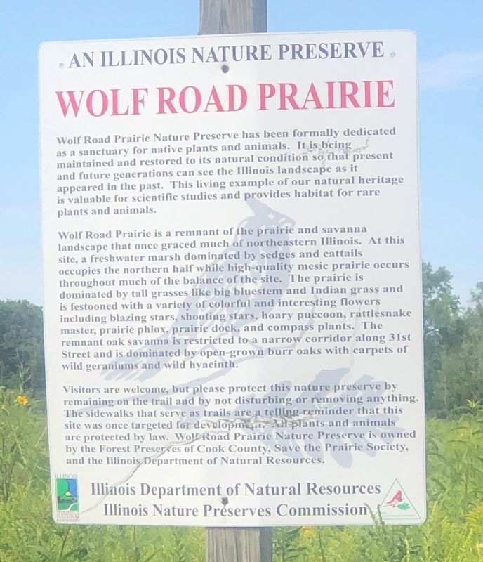 Wolf Road Prairie Marker. Click for full size. Wolf Road Prairie Marker image. Click for full size.