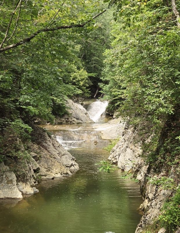 Lace Falls image. Click for full size.