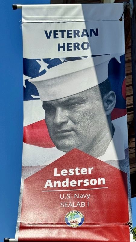 Lester Anderson image. Click for full size.