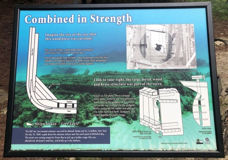 Combined in Strength Marker. Click for full size. Combined in Strength Marker image. Click for full size.