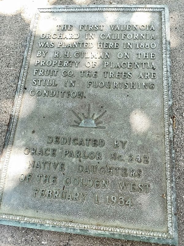 The First Valencia Orchard in California Marker image. Click for full size.