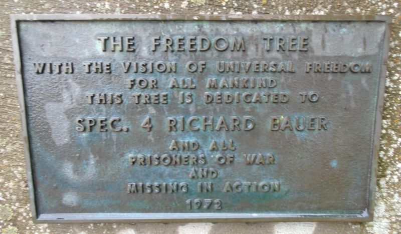 The Freedom Tree Marker. Click for full size. The Freedom Tree Marker image. Click for full size.