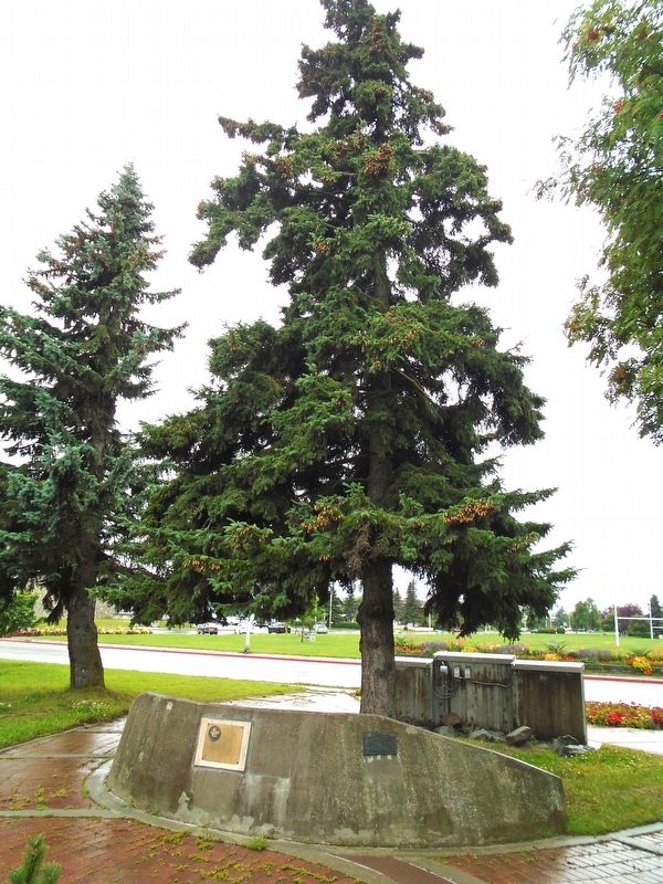 The Freedom Tree and Marker. Click for full size. The Freedom Tree and Marker image. Click for full size.