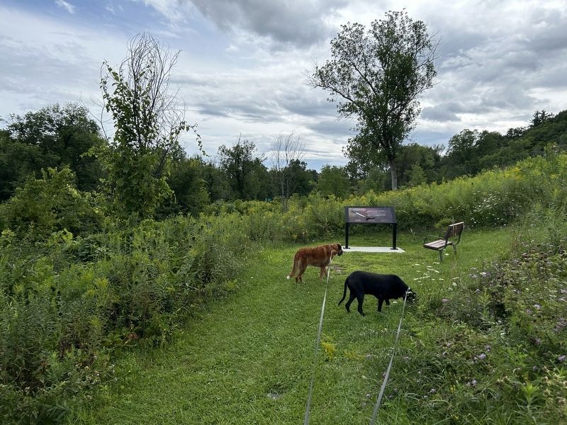 They were cutting off limbs and taking out bullets Marker. Click for full size. They were cutting off limbs and taking out bullets Marker image. Click for full size.