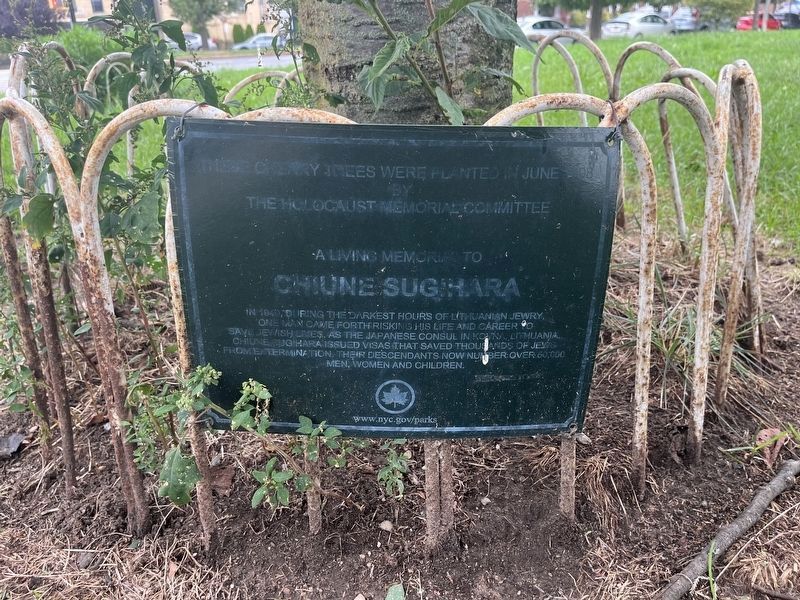 Chiune Sigihara Marker. Click for full size. Chiune Sigihara Marker image. Click for full size.