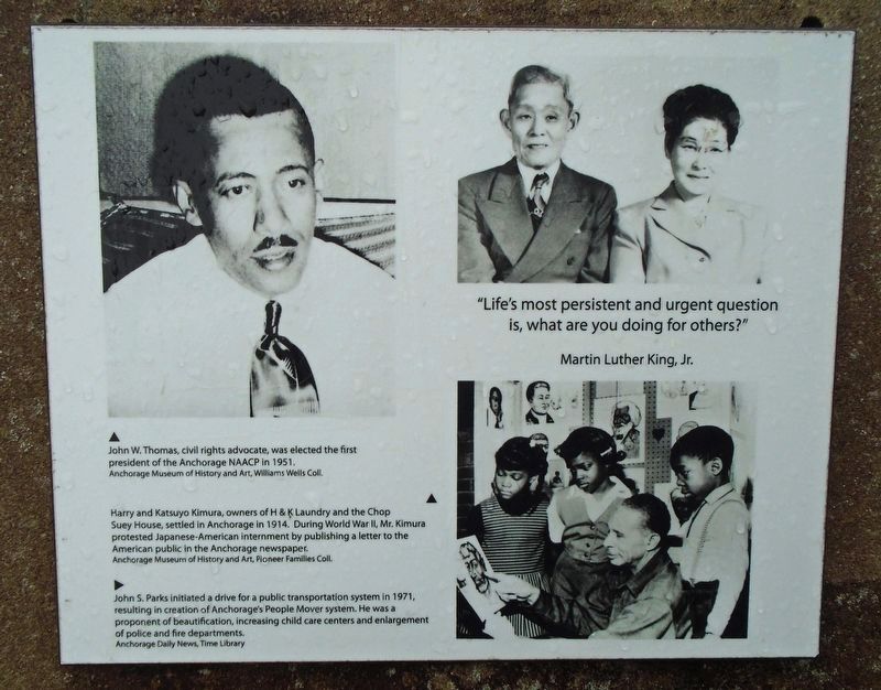 Martin Luther King, Jr. Memorial Panel 15 image. Click for full size.