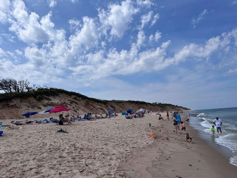 Shoreline Erosion at Nauset Light Beach. Click for full size. Shoreline Erosion at Nauset Light Beach image. Click for full size.