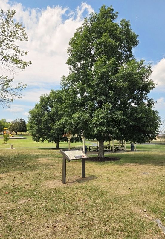 Shirley's Hill Marker image. Click for full size.