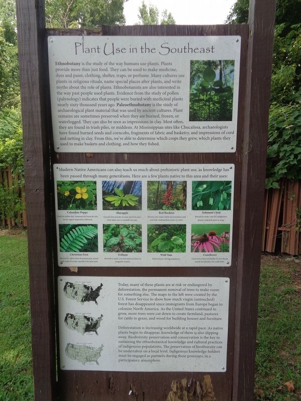 Plant Use in the Southeast Marker image. Click for full size.