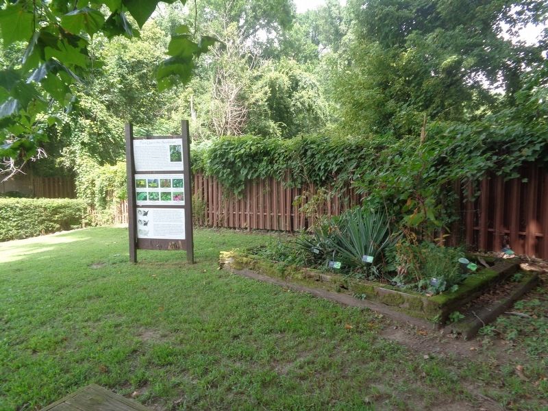 Plant Use in the Southeast Marker image. Click for full size.