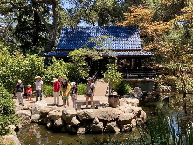 Japanese Garden and Tea House image. Click for full size.