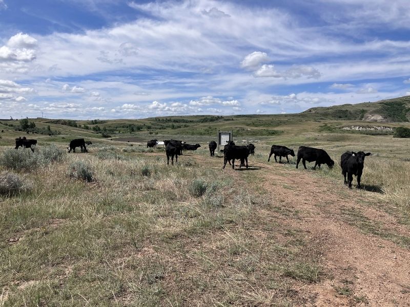 A Skirmish at Sully's Waterhole Marker image. Click for full size.