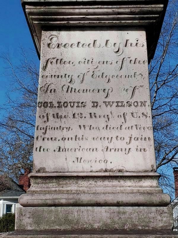 Colonel Louis D. Wilson monument, facing south towards West Wilson Street image. Click for full size.