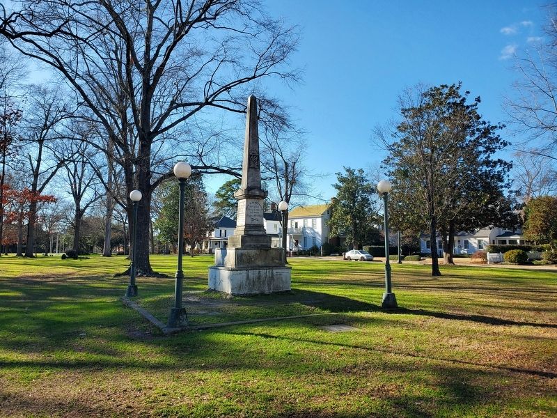 Wide view of Col. Louis D. Wilson Monument image. Click for full size.