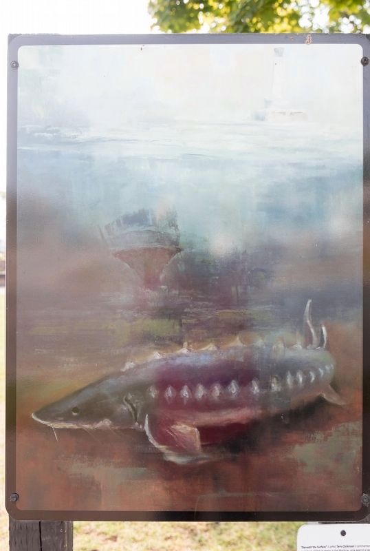 “Beneath the Surface”<br>by Terry Dickinson. Click for full size. “Beneath the Surface”<br>by Terry Dickinson image. Click for full size.