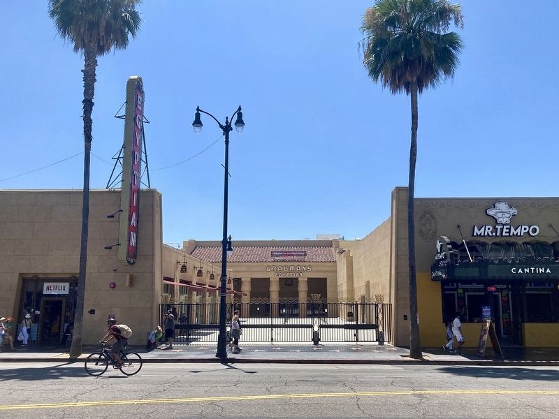 Egyptian Theatre image. Click for full size.