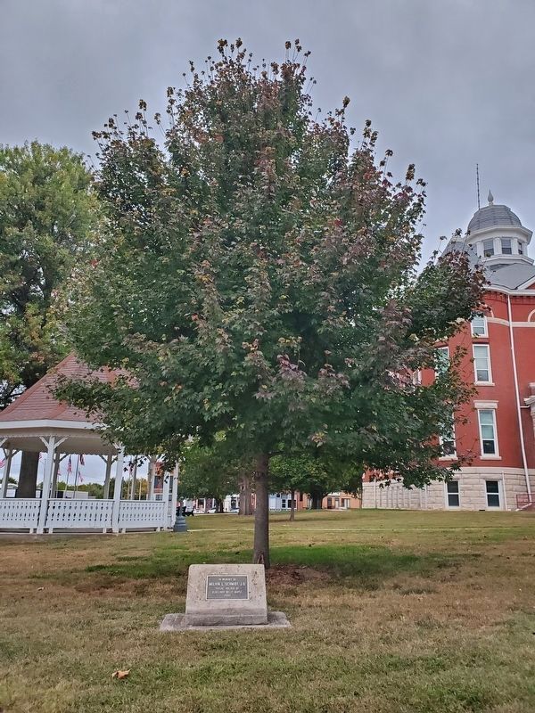 Melvin L. Schmidt, J.D. Marker in front of a Burgundy Belle Maple tree image. Click for full size.