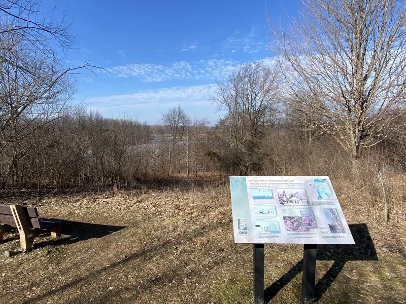 Marker overlooking a restored wetland image. Click for full size.