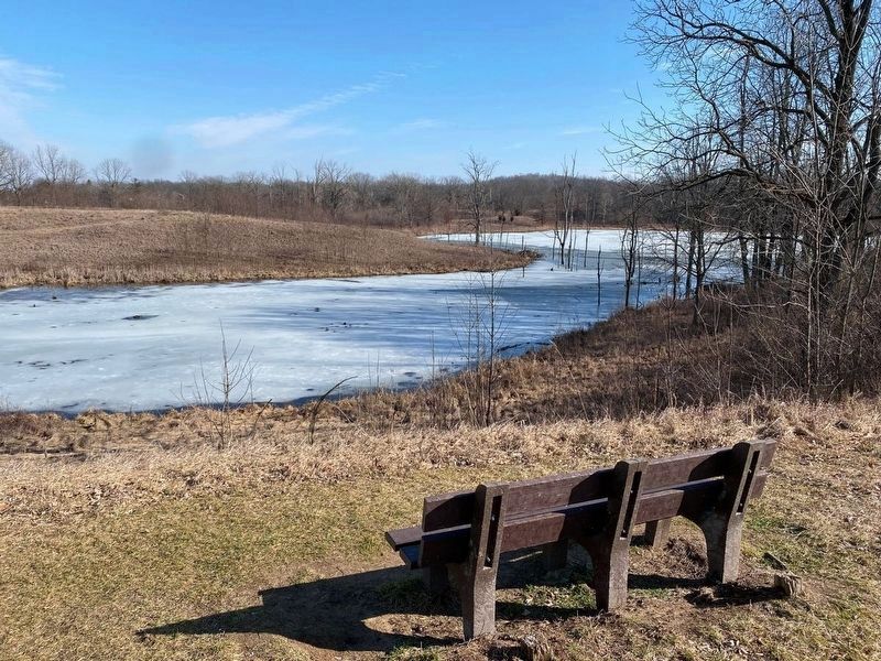 View of restored wetland image. Click for full size.