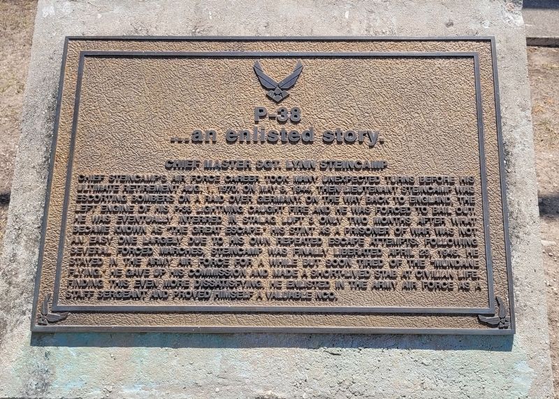 Chief Master Sgt. Lynn Steincamp Marker. Click for full size. Chief Master Sgt. Lynn Steincamp Marker image. Click for full size.