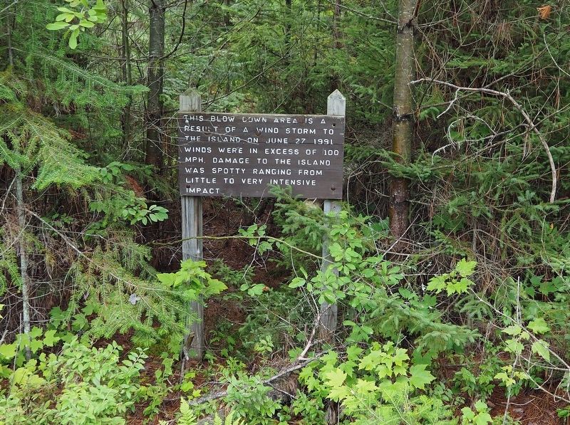 Marker along the Lagoon Ridges Trail in Big Bay State Park. Click for full size. Marker along the Lagoon Ridges Trail in Big Bay State Park image. Click for full size.