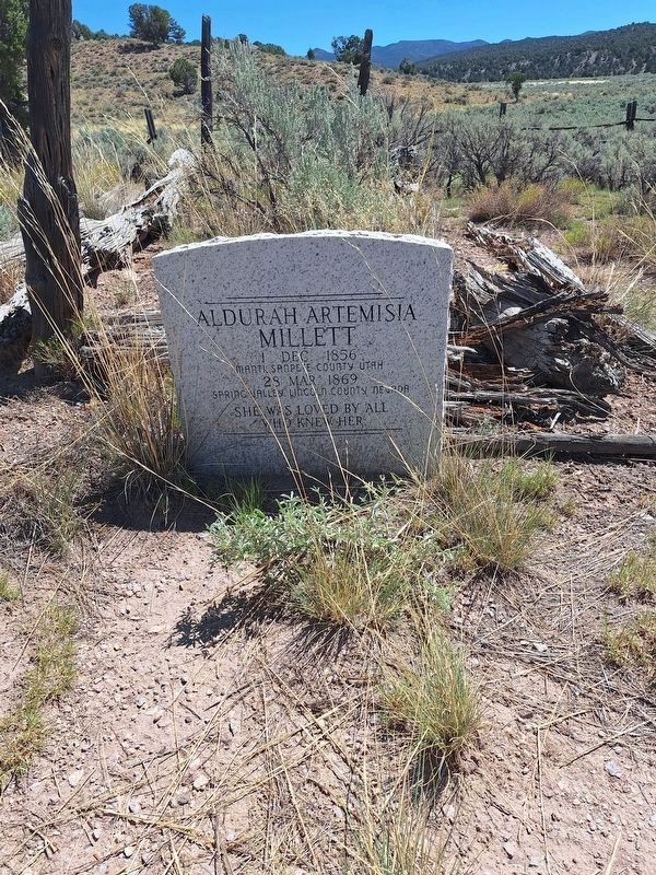 Spring Valley Cemetery image. Click for full size.