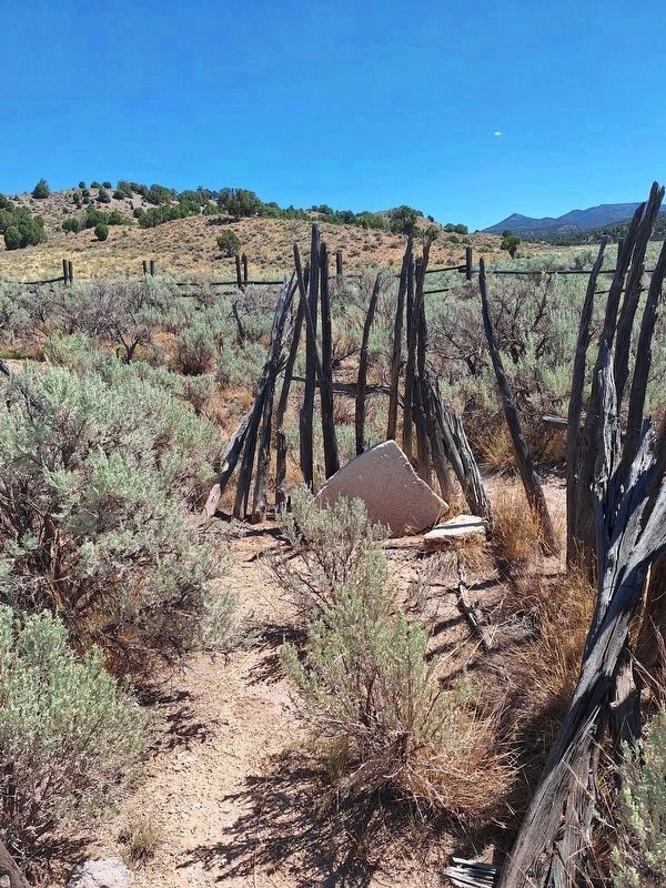 Spring Valley Cemetery image. Click for full size.