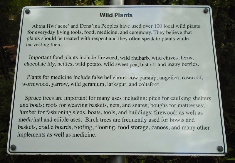 Wild Plants Marker. Click for full size. Wild Plants Marker image. Click for full size.