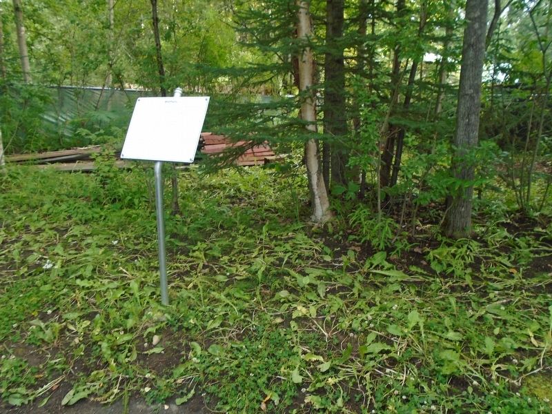 Wild Plants Marker. Click for full size. Wild Plants Marker image. Click for full size.