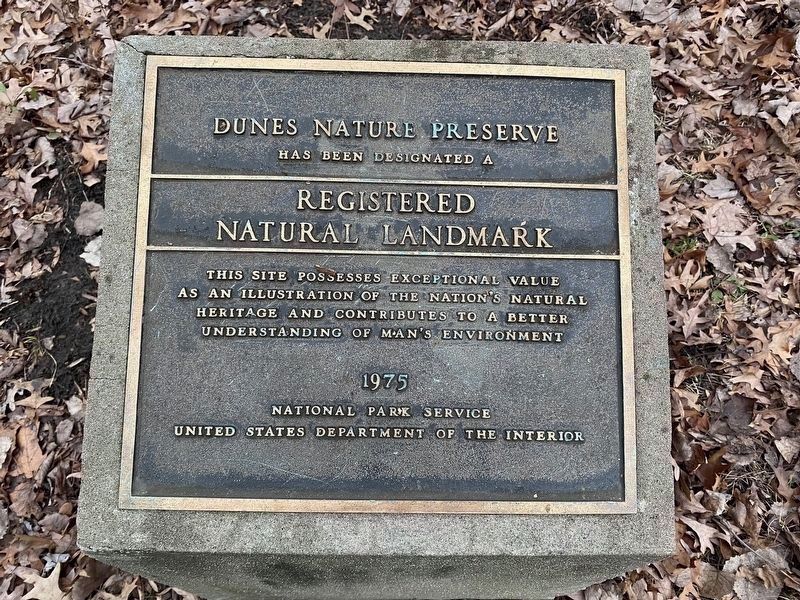 National Natural Landmark plaque for the dunes image. Click for full size.