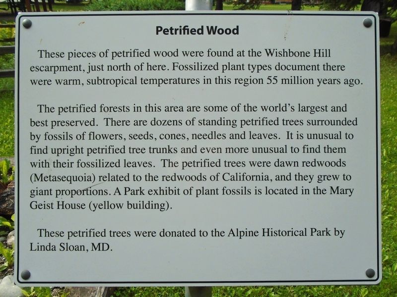 Petrified Wood Marker. Click for full size. Petrified Wood Marker image. Click for full size.
