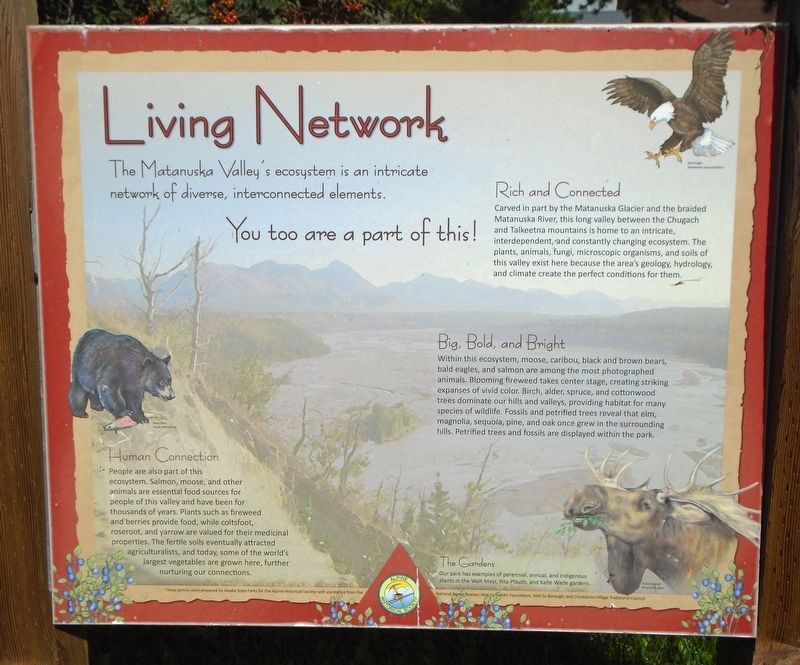 Living Network Marker. Click for full size. Living Network Marker image. Click for full size.