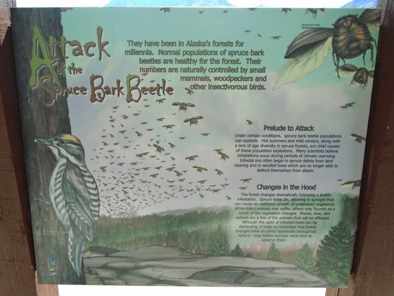 Attack of the Spruce Bark Beetle Marker image. Click for full size.
