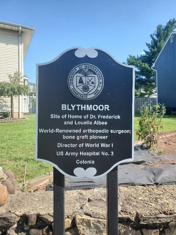 Blyhtmoor Marker. Click for full size. Blyhtmoor Marker image. Click for full size.